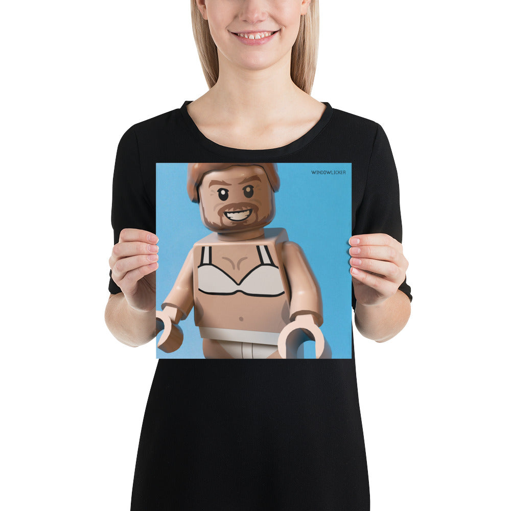 "Aphex Twin - Windowlicker" Lego Parody Poster