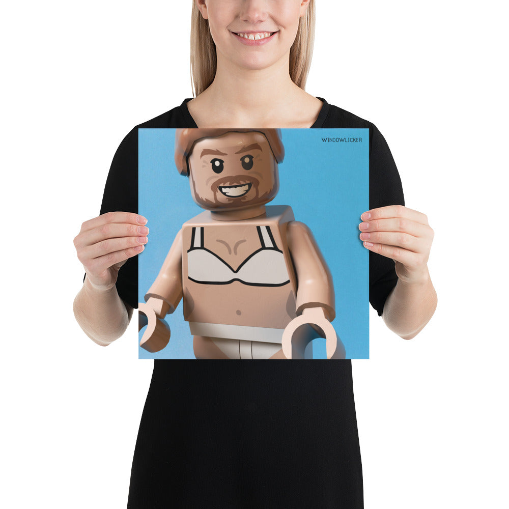 "Aphex Twin - Windowlicker" Lego Parody Poster