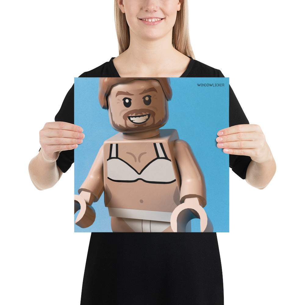 "Aphex Twin - Windowlicker" Lego Parody Poster