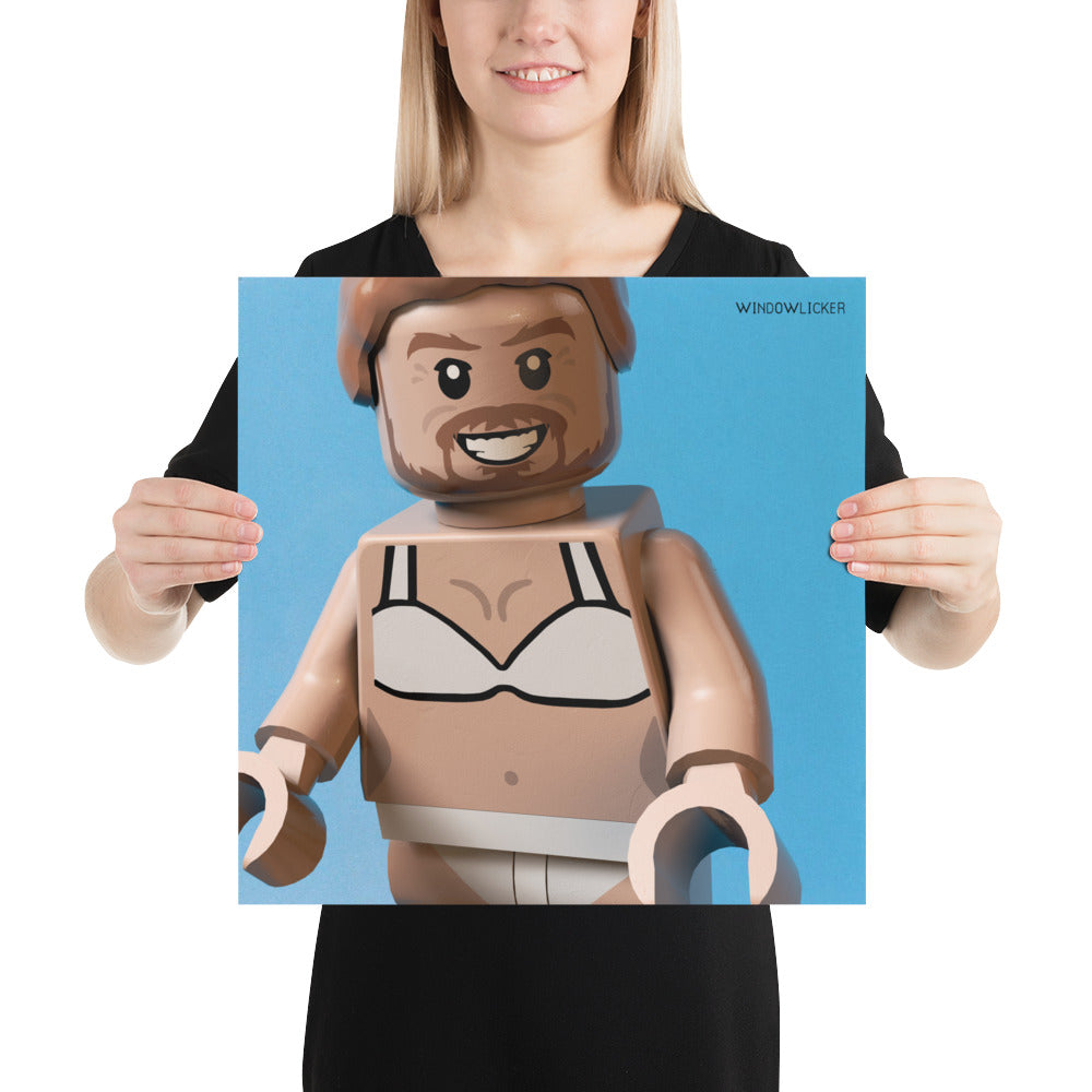 "Aphex Twin - Windowlicker" Lego Parody Poster