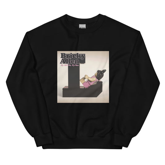 "Lily Allen - It's Not Me, It's You" Lego Parody Sweatshirt