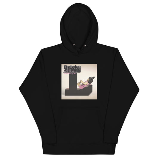 "Lily Allen - It's Not Me, It's You" Lego Parody Hoodie